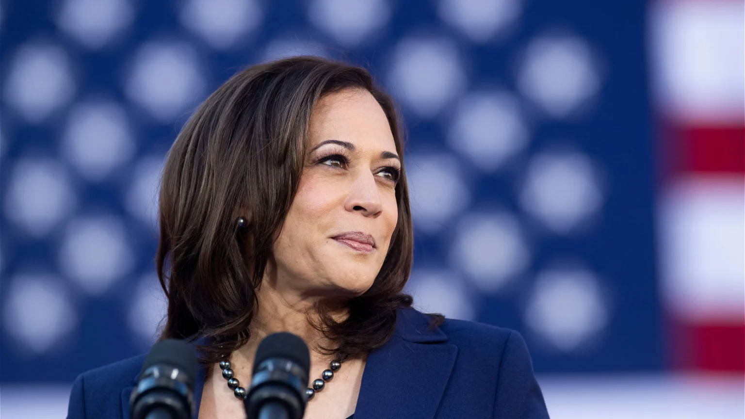 Kamala Harris Net Worth: A Quick Summary of Her Finances Kamala Harris Net Worth